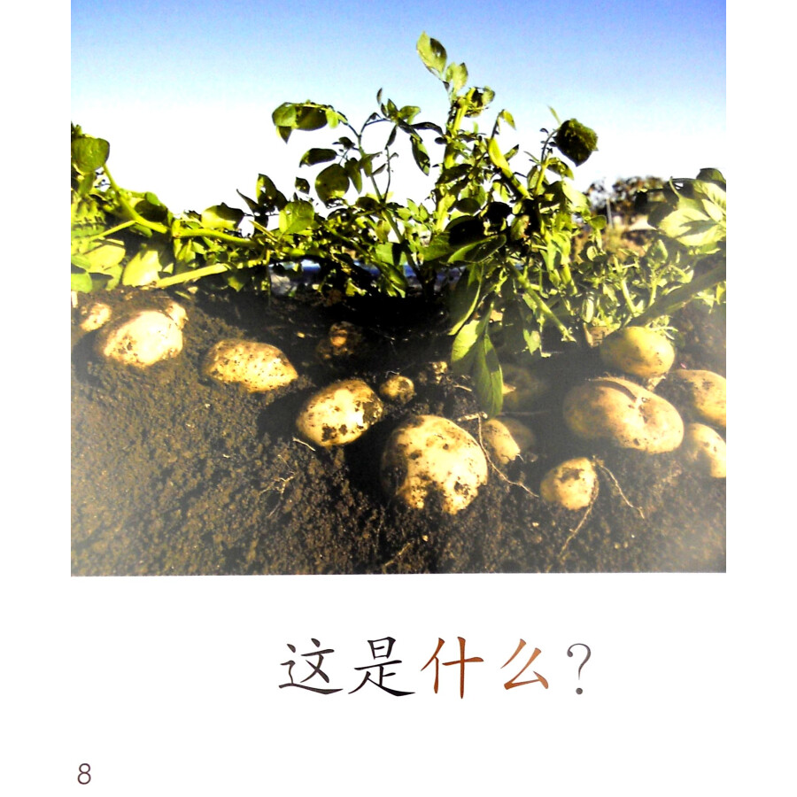 Sample pages of Cool Panda Chinese Teaching Resources for Young Learners: Level 1 Food & Drinks - What's This? (ISBN:9787040441079)