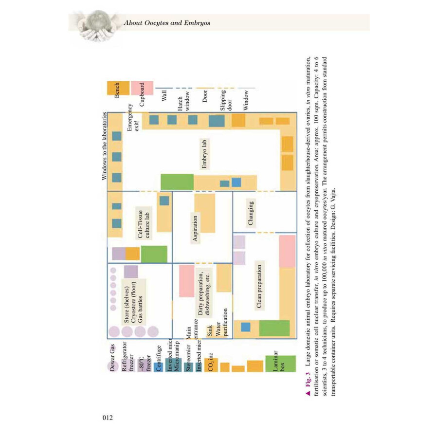 Sample pages of About Oocytes and Embryos (ISBN:9787504691583)