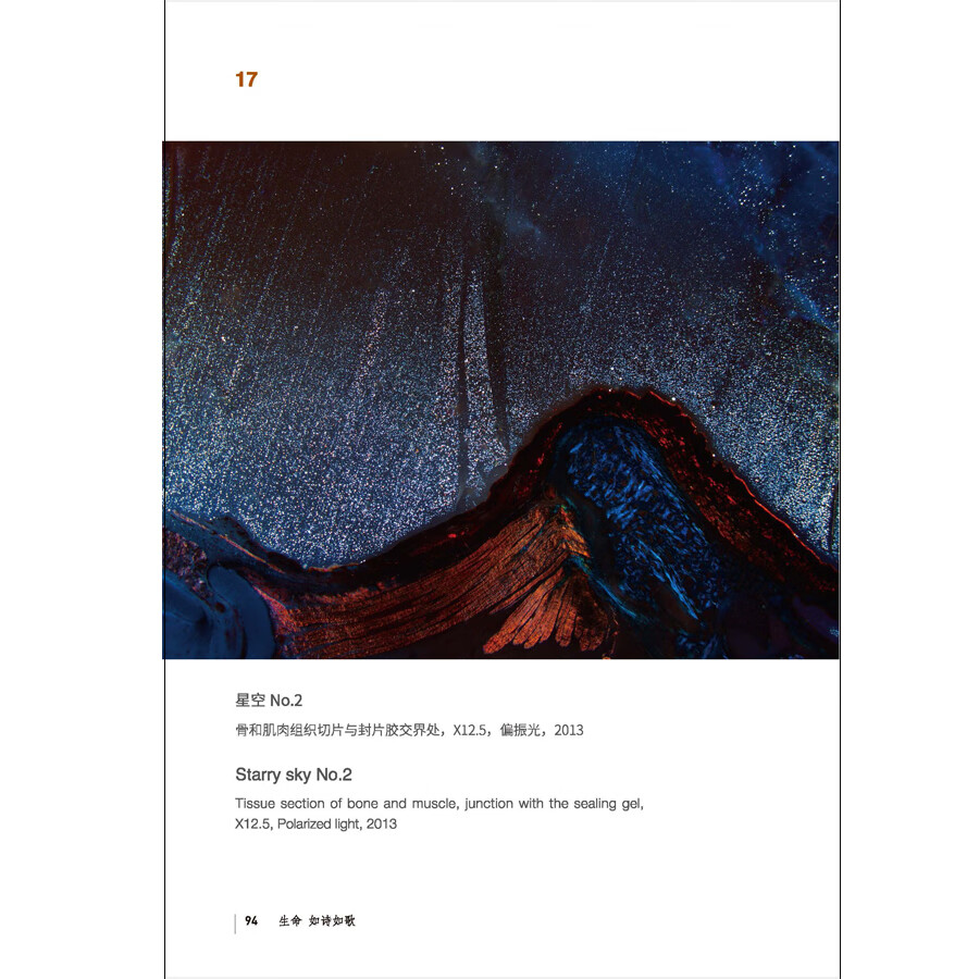 Sample pages of Life: A Poem of Song: Four Seasons of Life Under the Microscope (ISBN:9787508548494)