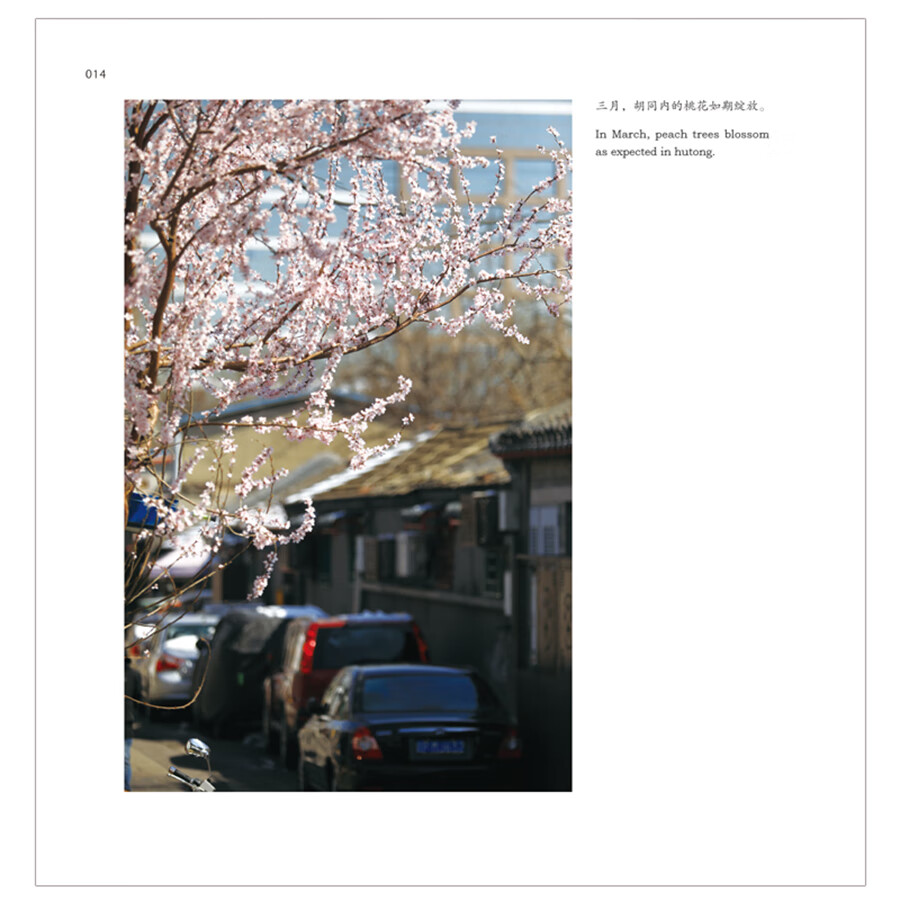Sample pages of Four Seasons In Beijing Hutong (ISBN:9787508550886)
