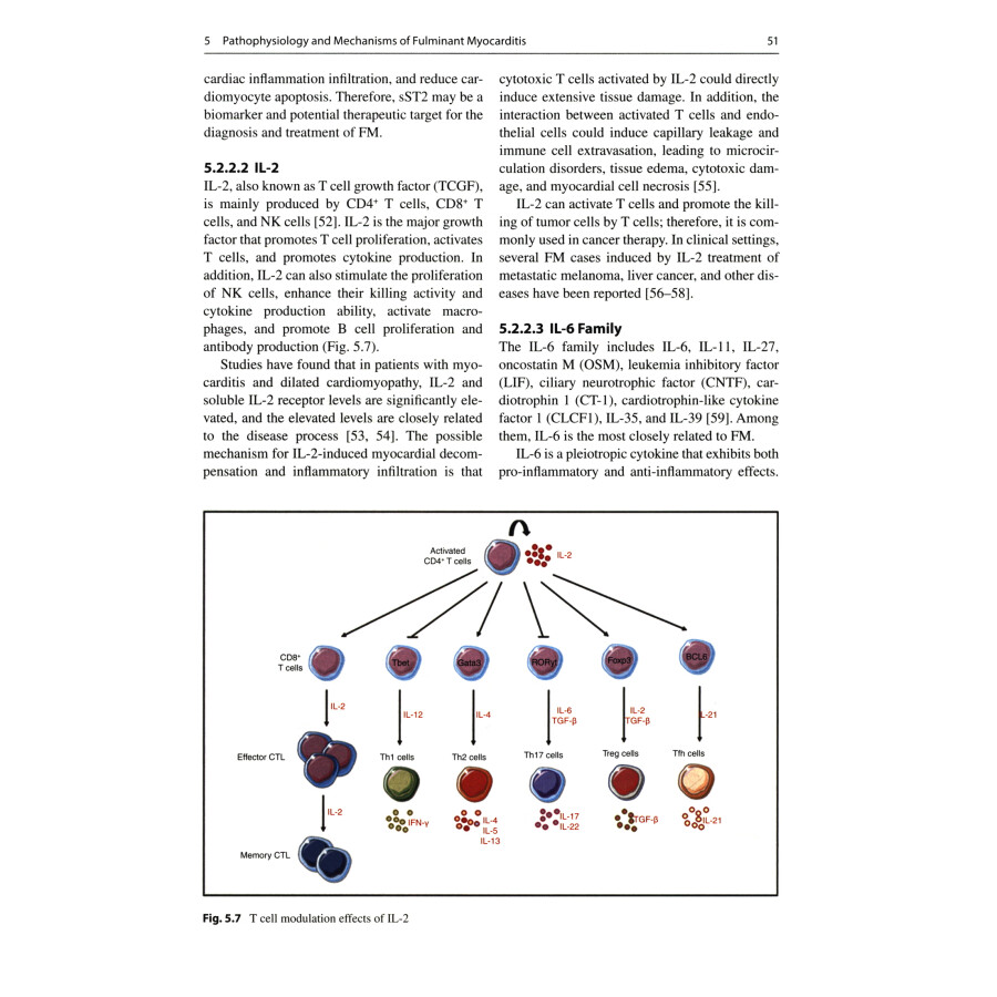 Sample pages of Fulminant Myocarditis (ISBN:9787030751362)