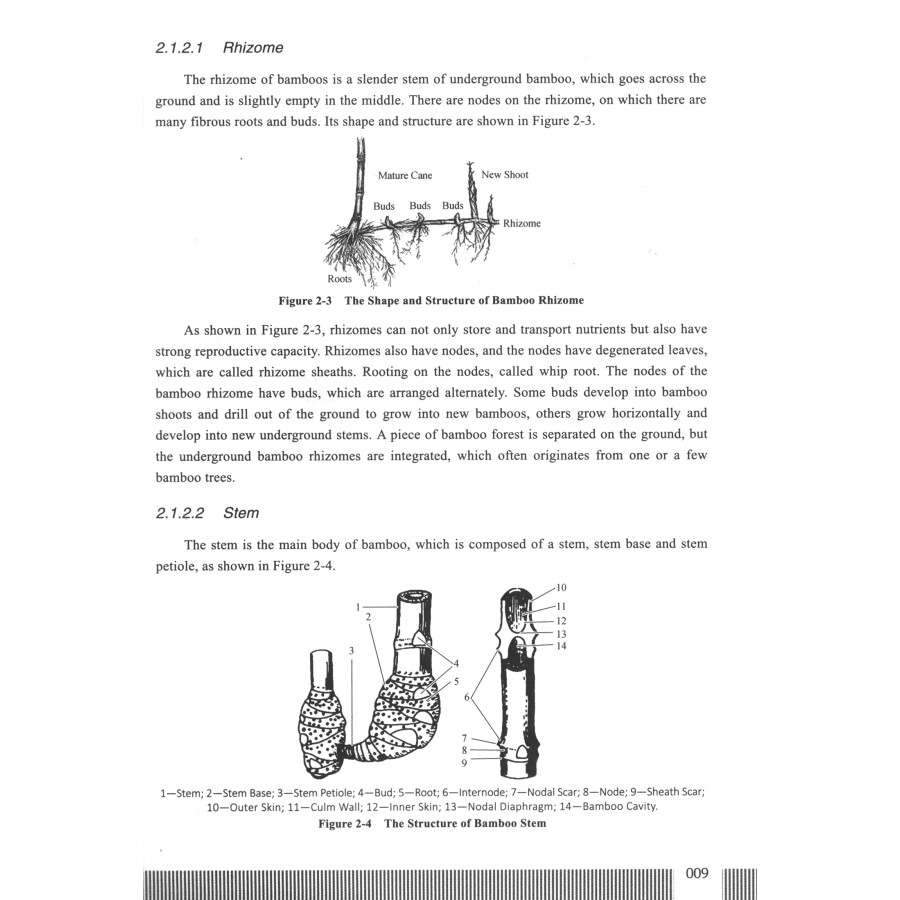Sample pages of Manufacture Technology of Bamboo Pulp and Paper (ISBN:9787564398149)