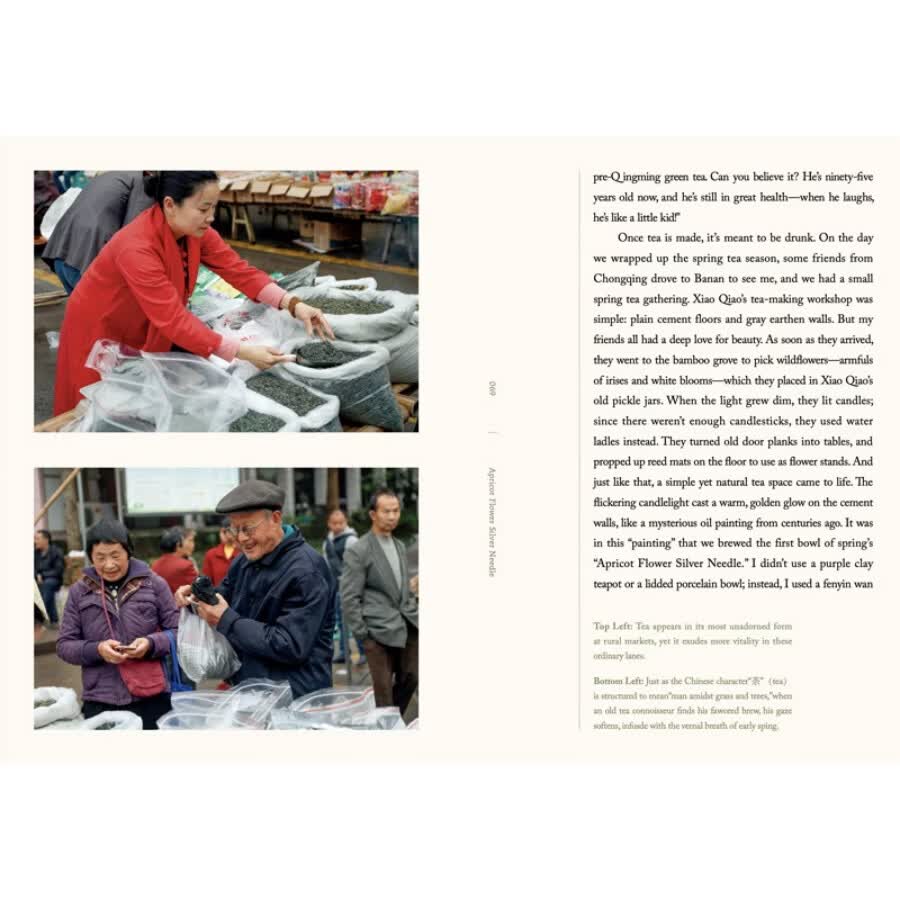 Sample pages of Steeped in Nature:Tea Infusions with Chinese Plants (ISBN:9787571360818)