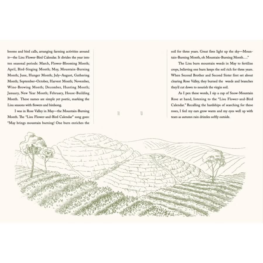 Sample pages of Steeped in Nature:Tea Infusions with Chinese Plants (ISBN:9787571360818)