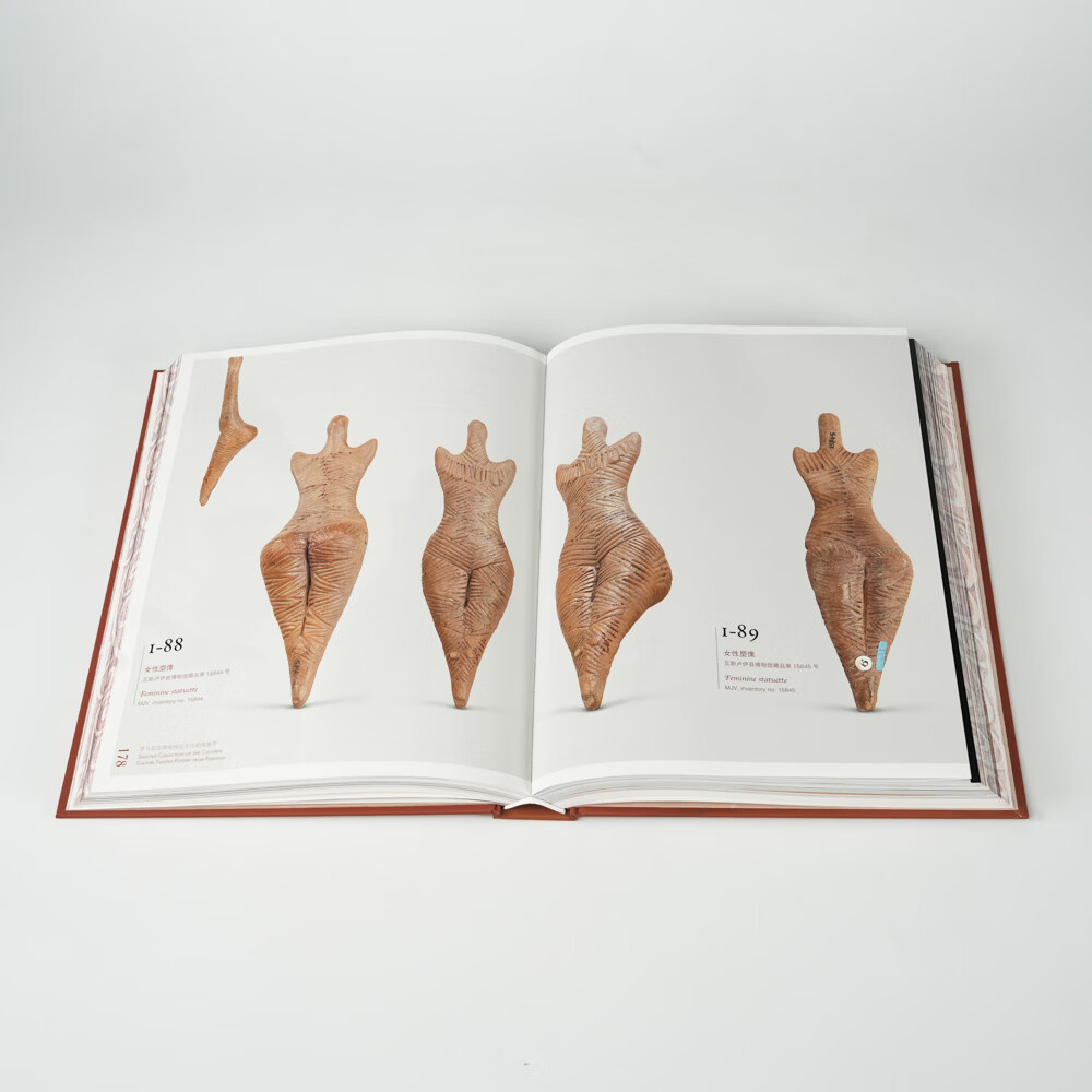 Sample pages of Selected Collection of the Cucuteni Culture Painted Pottery From Romania (ISBN:9787501087624)