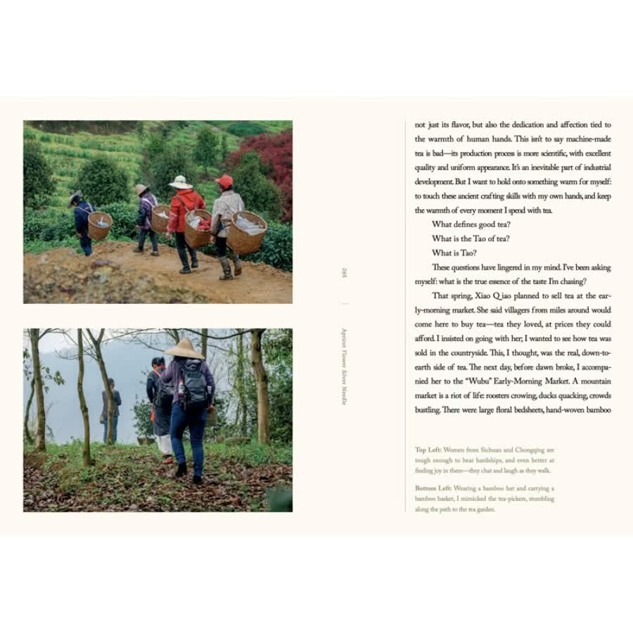 Sample pages of Steeped in Nature:Tea Infusions with Chinese Plants (ISBN:9787571360818)