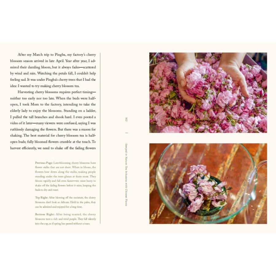 Sample pages of Steeped in Nature:Tea Infusions with Chinese Plants (ISBN:9787571360818)