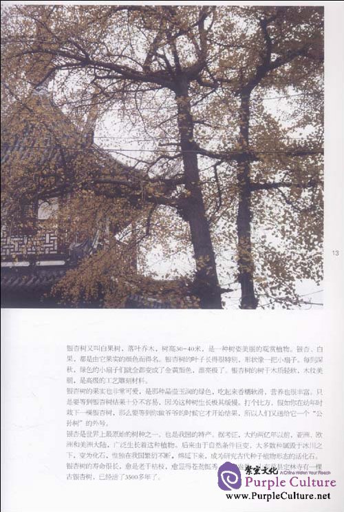 Sample pages of Chinese Culture in Plants (ISBN:9787507214994)