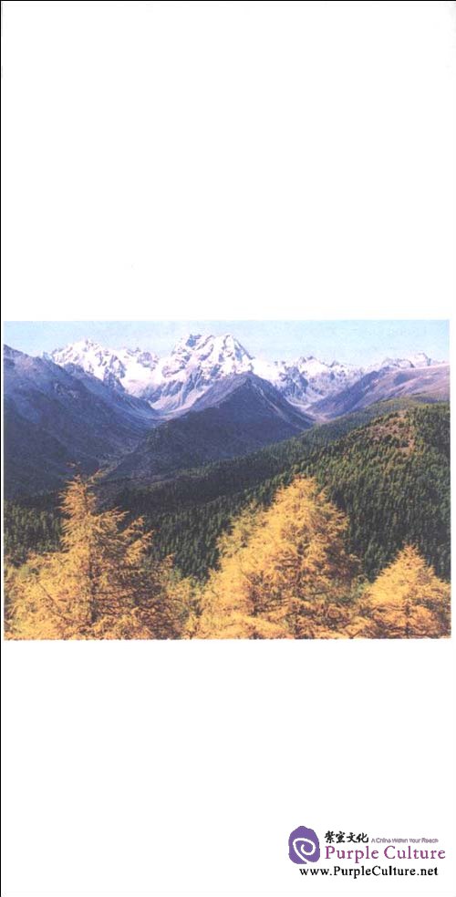 Sample pages of Chinese Treasury Series: Easy Romantic Chinese, with 1 MP3 (ISBN:9787511702890,7511702899)