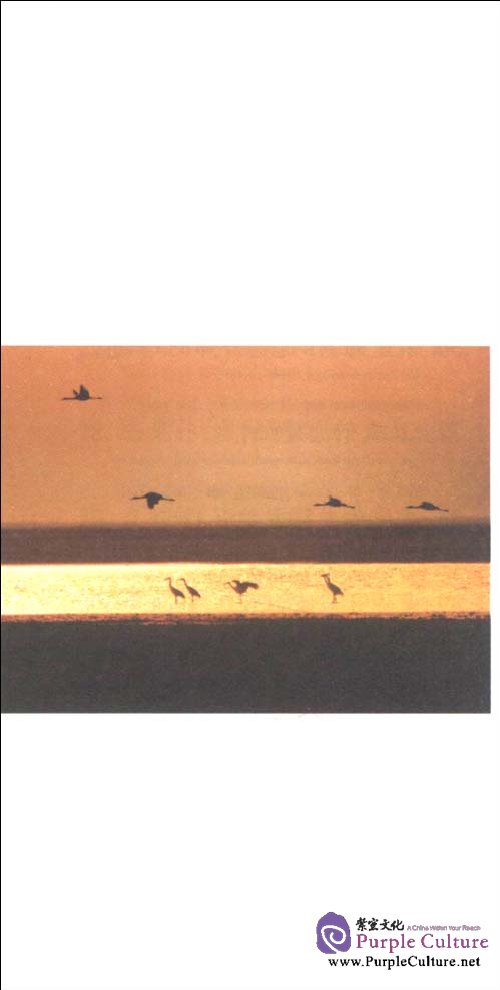 Sample pages of Chinese Treasury Series: Easy Romantic Chinese, with 1 MP3 (ISBN:9787511702890,7511702899)
